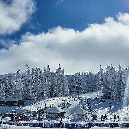 Aparthotel Woodside By Anaya Kopaonik Eksteriør bilde